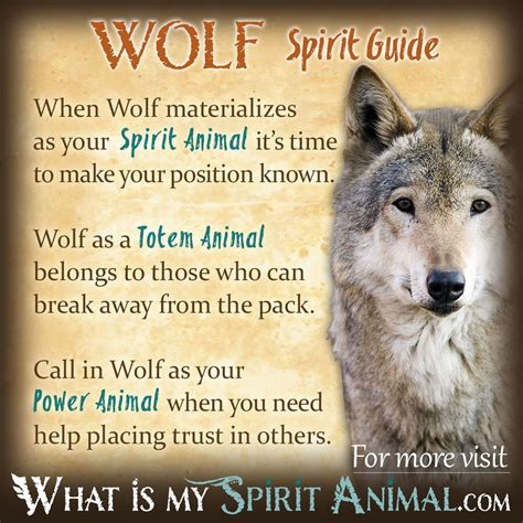 Exploring the Connection Between Divine Wolf Magic and Animal Guides